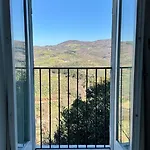 The View *