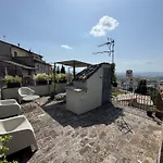 The View *
